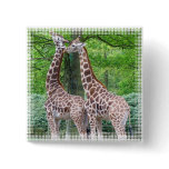 Giraffe Pair Square Pin
