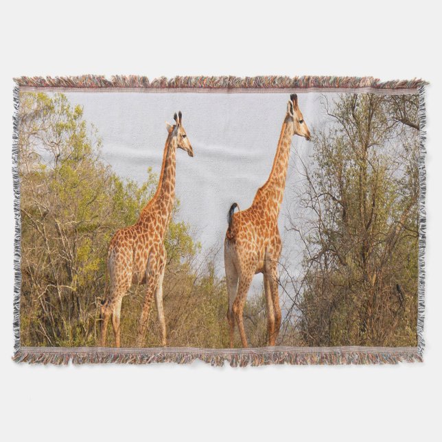 Giraffe Pair Throw Blanket (Front)