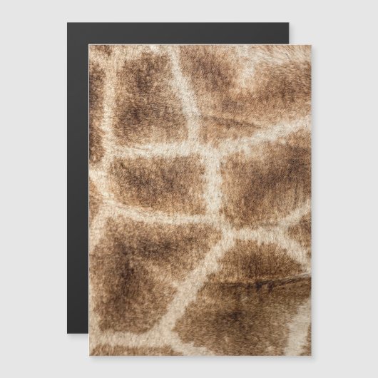 Giraffe pattern (Front/Back)