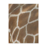 Giraffe Patterned Postcard