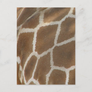 Giraffe Patterned Postcard