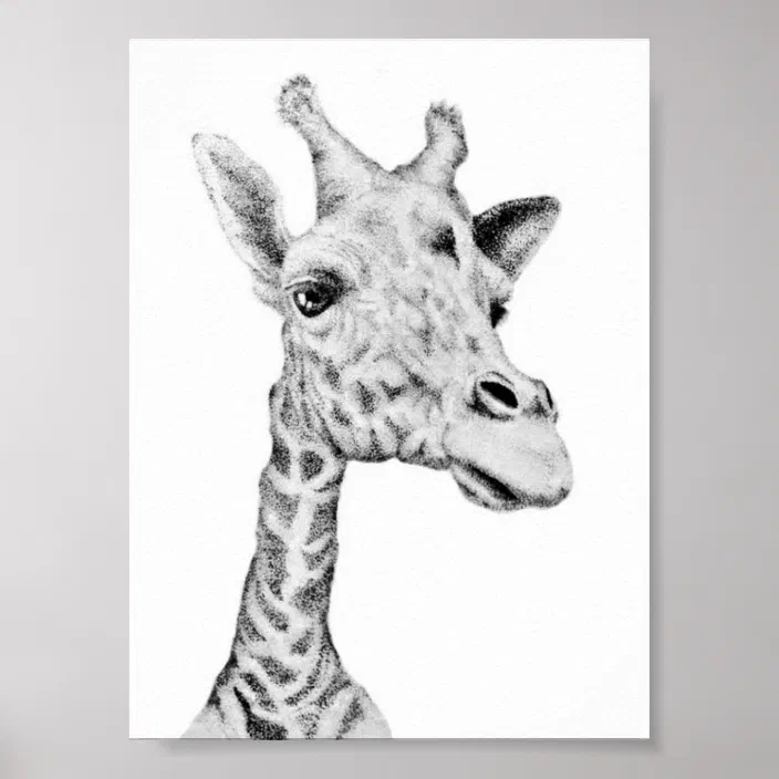 Giraffe Pen Ink Drawing Poster Zazzle Com