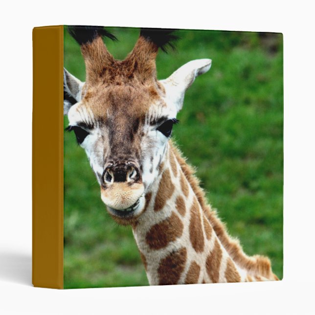 Giraffe Photo Binder (Front/Spine)