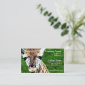 Giraffe Photo Business Card (Standing Front)