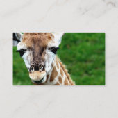 Giraffe Photo Business Card (Back)