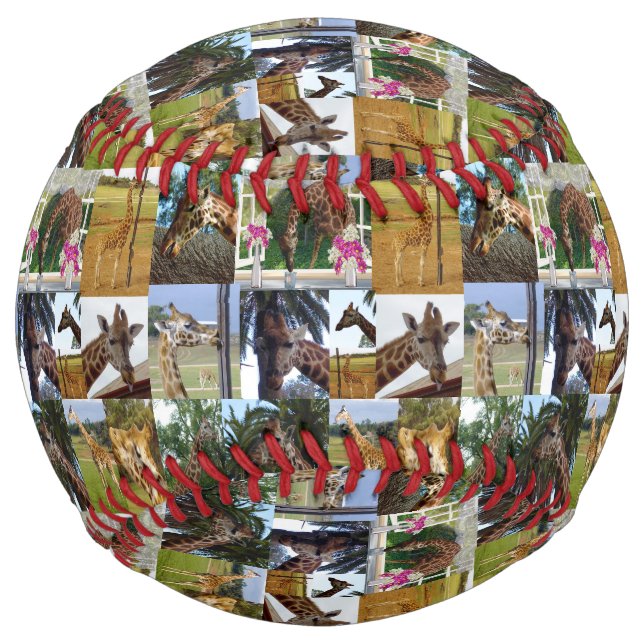 Giraffe Photo Collage, Softball (Front)