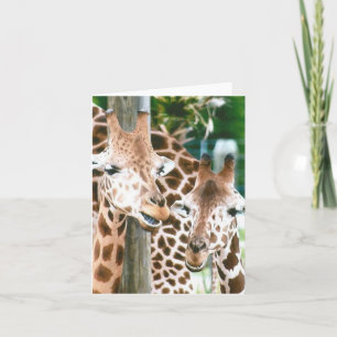 Giraffe Photo Folded Note Card
