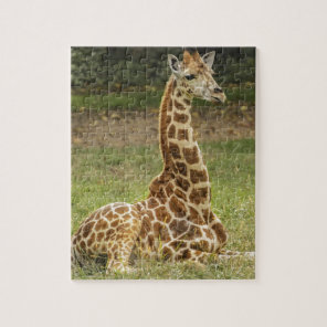 Giraffe Photo Jigsaw Puzzle