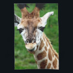 Giraffe Photo Kitchen Towel<br><div class="desc">Curious giraffe face for giraffe lovers.</div>