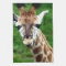 Giraffe Photo  Kitchen Towel
