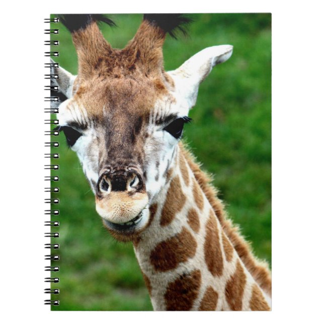 Giraffe Photo Notebook (Front)