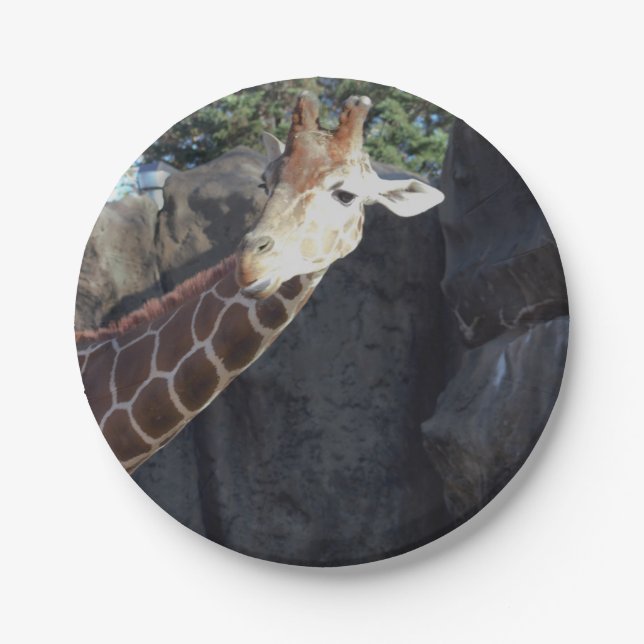 Giraffe Photo Paper Plates (Front)