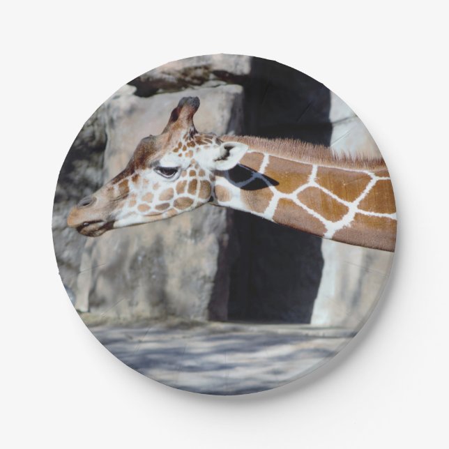 Giraffe Photo Paper Plates (Front)