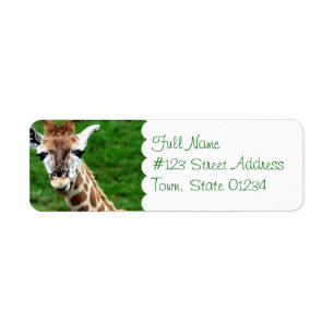 Giraffe Photo Return Address Mailing Label