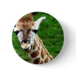 Giraffe Photo Round Button