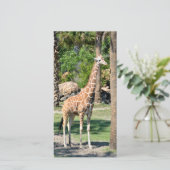 Giraffe photocard (Standing Front)
