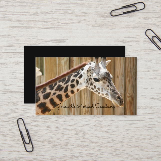 Giraffe Photograph Business Cards (Front/Back In Situ)