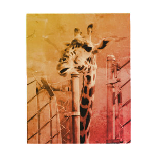 Giraffe Photograph Wood Wall Decor