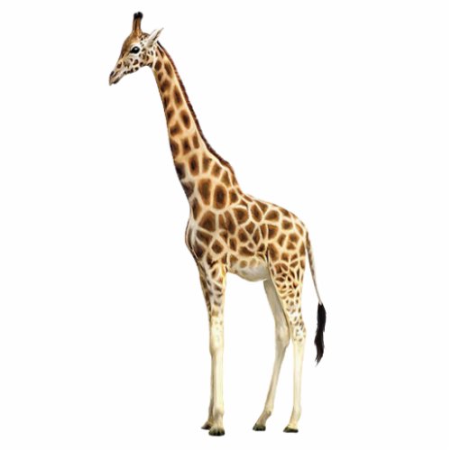 Giraffe Pin Statuette