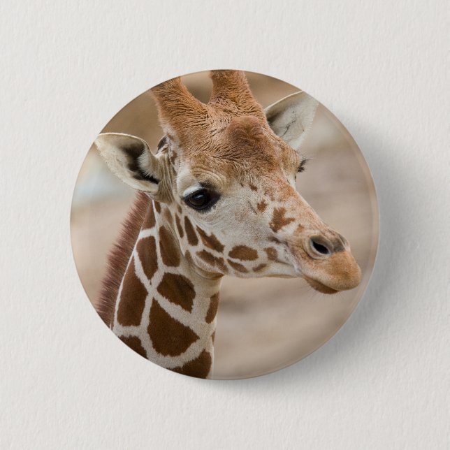 giraffe pinback button (Front)