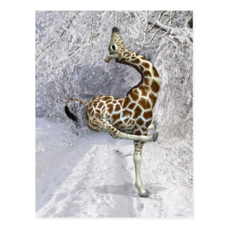 giraffe_playing_in_snow_postcard-r4a512d02f39e4c9abee5e431e51d2243_vgbaq_8byvr_324.jpg