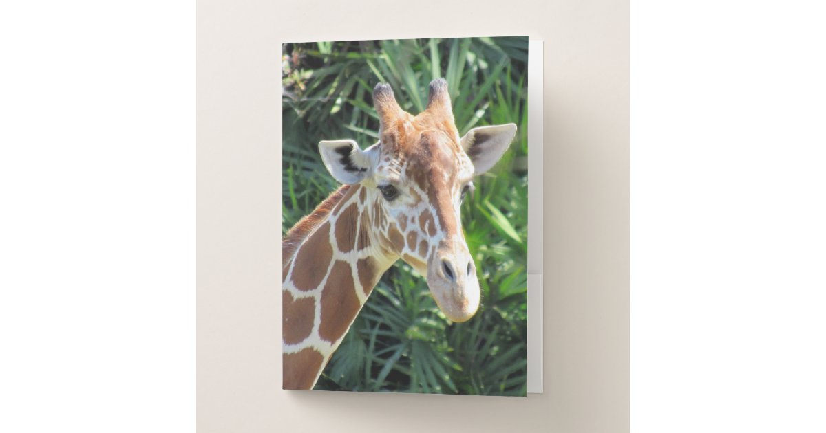 Giraffe Pocket Folders | Zazzle