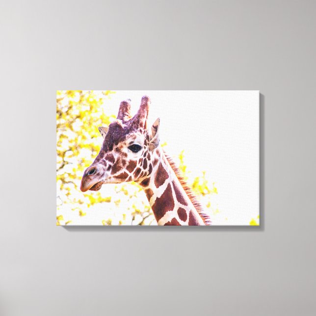 Giraffe Portrait Canvas Print (Front)