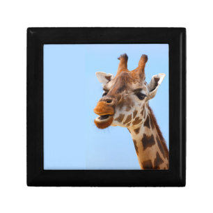Giraffe Portrait gift box