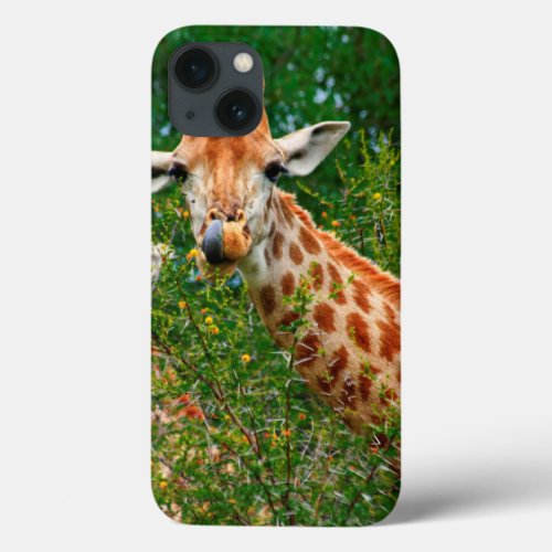 Giraffe Portrait Kruger National Park iPhone 13 Case