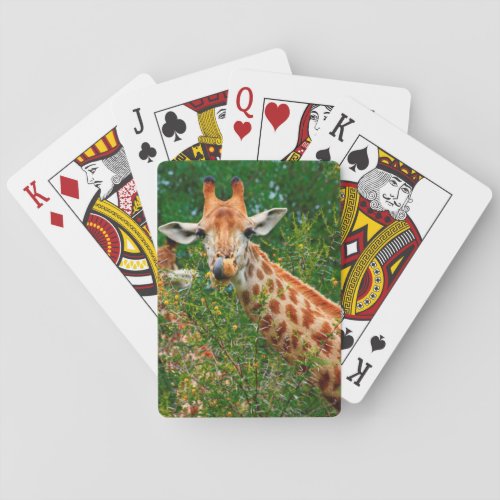Giraffe Portrait Kruger National Park Playing Cards