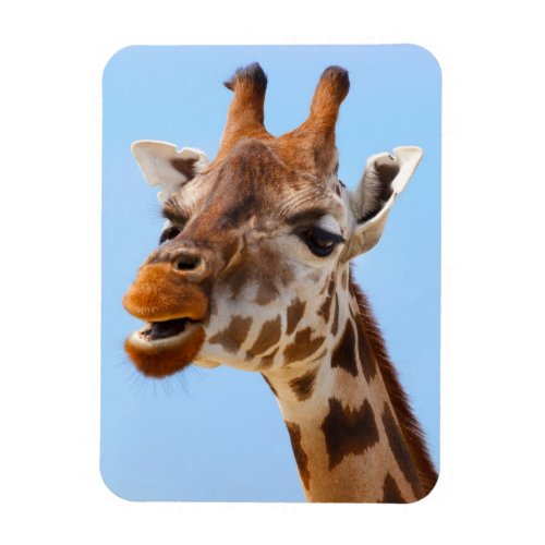 Giraffe Portrait magnet