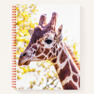 Giraffe Portrait Notebook