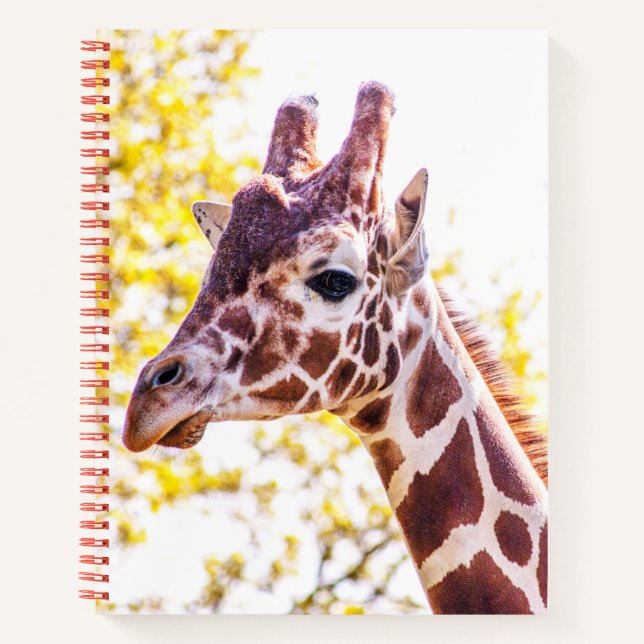 Giraffe Portrait Notebook (Front)
