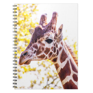 Giraffe Portrait Notebook