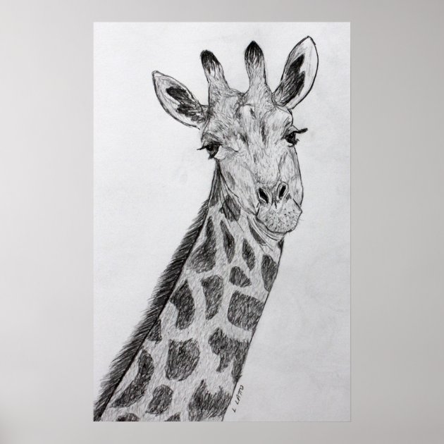 giraffe drawing | giraffe pencil sketch | how to draw a giraffe| giraffe  drawing step by step easily - YouTube