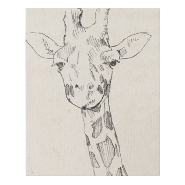 Giraffe Portrait | Sketch Faux Canvas Print (Front)
