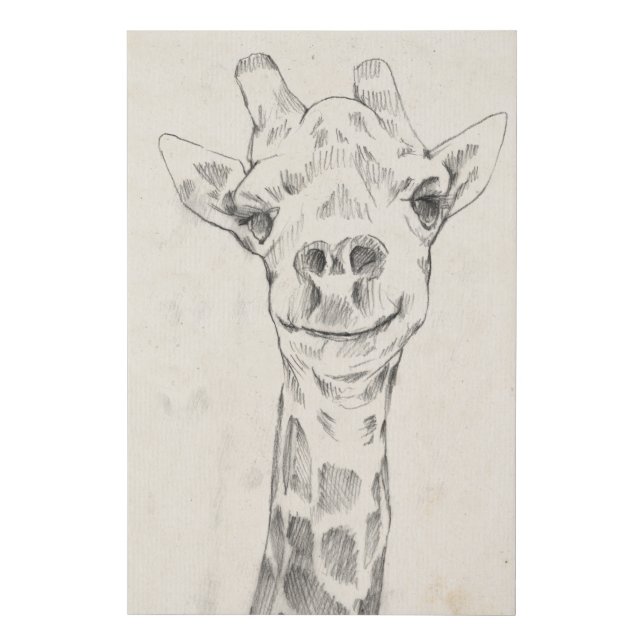 Giraffe Portrait Sketch Faux Canvas Print (Front)