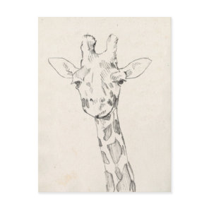 Giraffe Portrait | Sketch Postcard