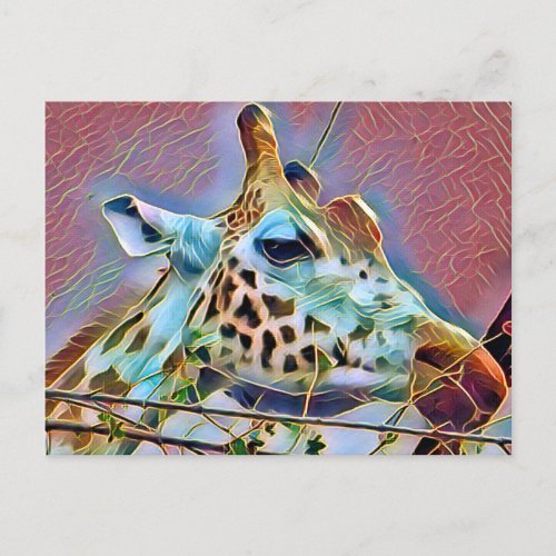 GIRAFFE    POSTCARD