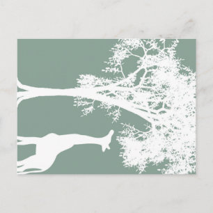 Giraffe Postcard