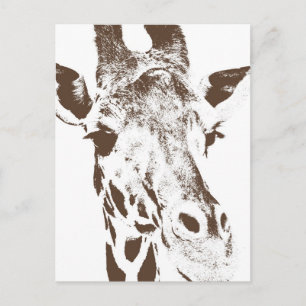 Giraffe Postcard