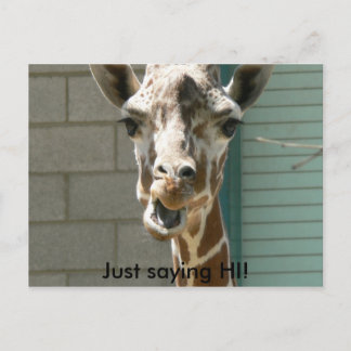 Giraffe Postcard