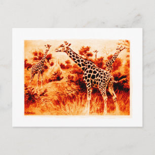 Giraffe Postcard