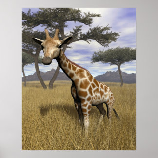 Giraffe Poster
