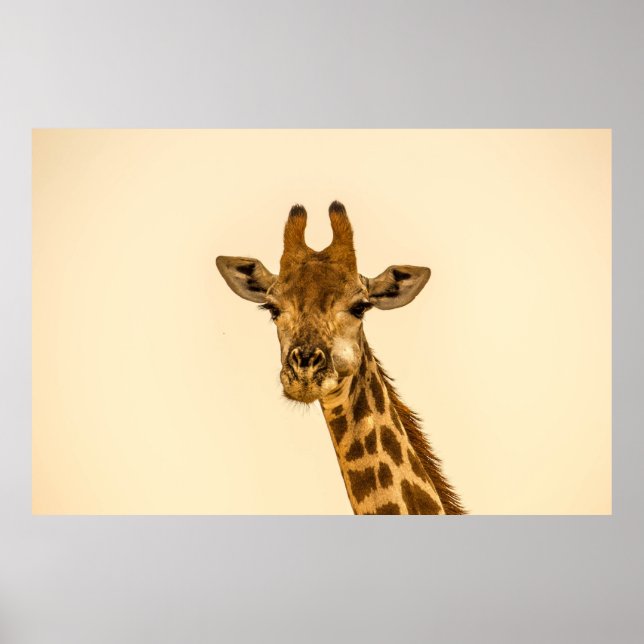 GIRAFFE POSTER (Front)
