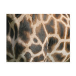 Giraffe Print Pattern Postcard