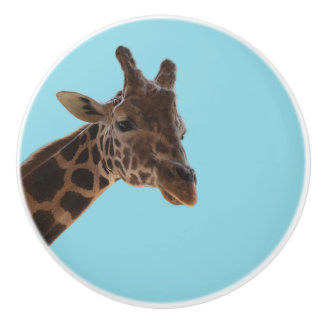 Giraffe pull knob