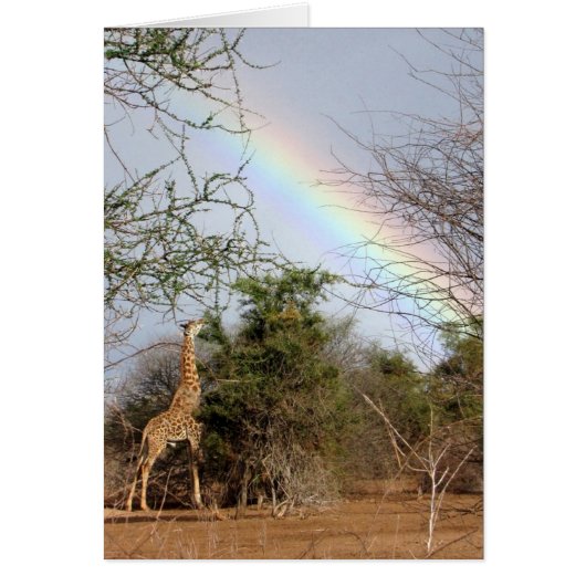 Giraffe & Rainbow Card (Front)