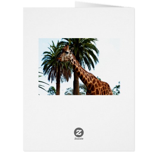 Giraffe Raspberry,_ (Back)