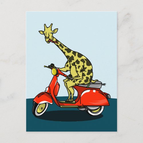 Giraffe riding a motorcycle motorbike postcard